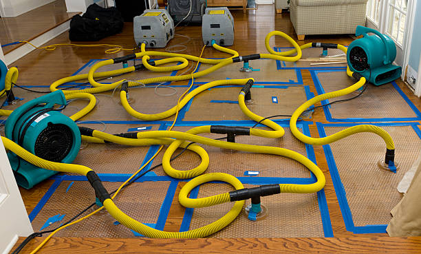 Professional Water Damage Repair technician working in Rockford, WA